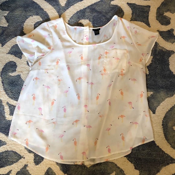 torrid Tops - Torrid flamingo size 2 sheer shirt